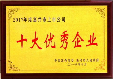 嘉兴市上市公司十大优异企业